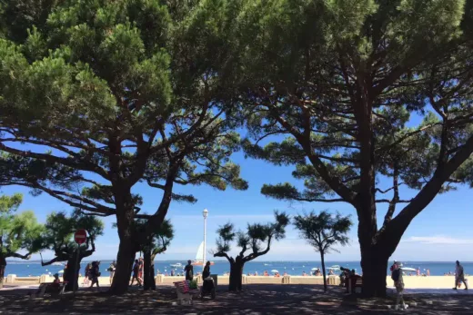 La Licorne &#8211; 9 Personnes &#8211; Au pied a la Plage
